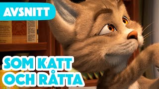 Masha och Björnen 🎇 Nytt Avsnitt 2024 🎇 😺 Som Katt Och Råtta 🐭 (Avsnitt 58)