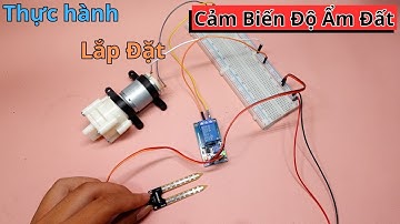 [Công nghệ 8 - CTST] Lắp ráp mạch điện điều khiển sử dụng module cảm biến độ ẩm đất | Điện tử DAT