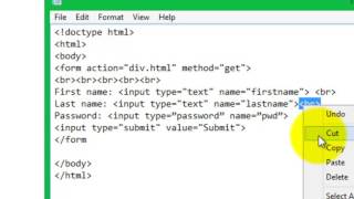 HTML Lesson 17  Password Field Easy Steps   Sahalsoftware