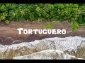 Tortuguero National Park - Turtles and Wildlife - Costa Rica Travel Video - Nikon Z7