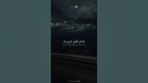 قال رب إني ظلمت نفسي - الآية 16 من سورة القصص - #المنشاوي #quran.