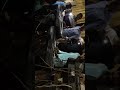 باسم كروبين جابودي الثورة جديد 2019 باسم كروبين جابودي الثورة جديد 2019