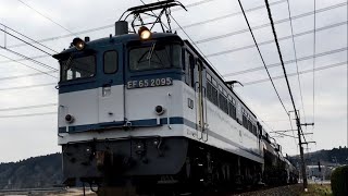 8179ﾚ (EF65 2095)