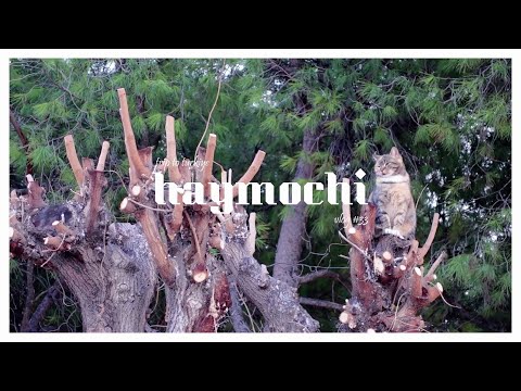 vlog #33 | a month in my life december | cafe hunting, trip to turkiye, pamukkale & bursa ❤