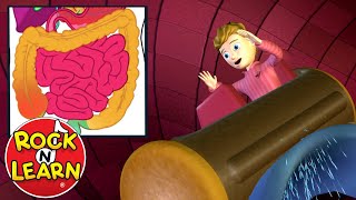digestive system for kids log ride song