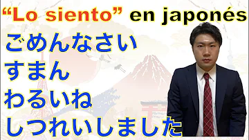 ¿Cuál es el japonés de lo siento?