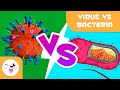 Viruses vs bacteria  what are their differences