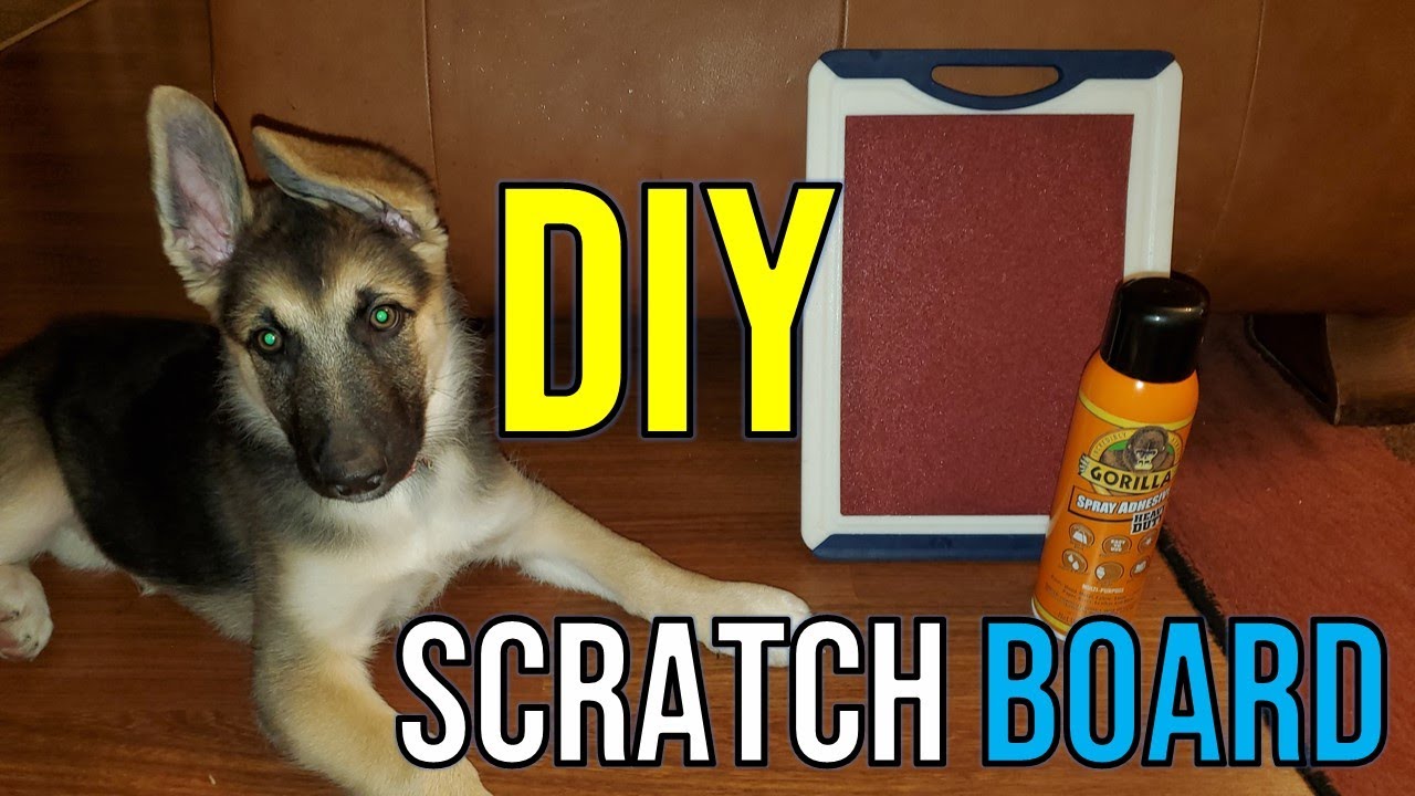 Inexpensive DIY Dog Scratch Board YouTube
