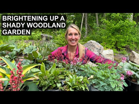 Video: Shade Plants For Texture: How To Create Texture In Woodland Gardens