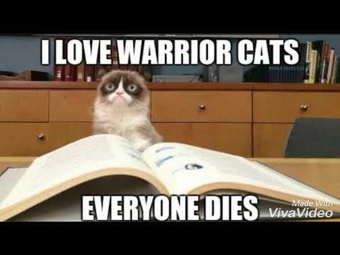 Funny Warrior Cats Memes / Pictures - YouTube