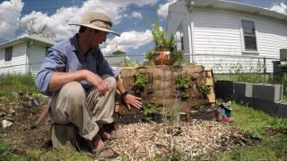 I had a pallet and I had some strawberries. Inspiration took and I decided to run with it. This isn