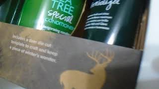 Paul Mitchell Tea Tree Special Shampoo & Conditioner Duo 1 Pack