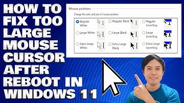 How To Fix Too Large Mouse Cursor After Reboot in Windows 10/11