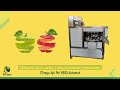 Máquina STvega Apl Pel H500 Automat para pelar y descorazonar manzanas.