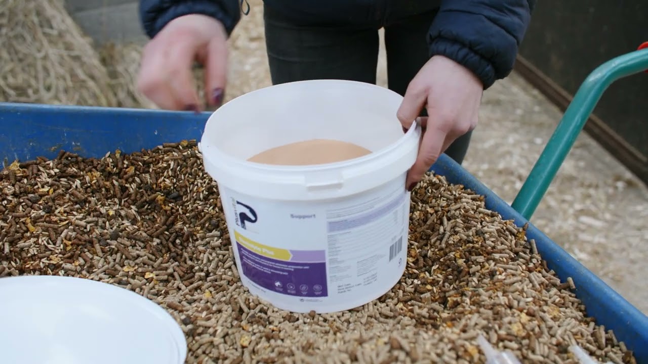 Plusvital 50 Year Anniversary