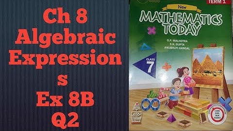 ICSE Class 7 Mathematics Today | Q2 Ex 8B Chapter 8 Algebraic Expressions | ICSE Solutions |