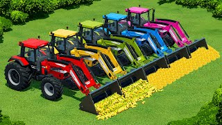 TRANSPORT BANANAS & CORN WITH CASE AND URSUS TRACTORS AND TRAILERS - Farming Simulator 22 screenshot 4