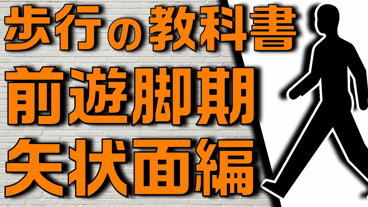 リハビリ 筋力だけじゃない歩行に必要な5つの力を徹底解説 Youtube