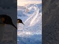 Beautiful Swan Crafted by me🦢❄️#aiart#satisfyingvideo#viralshorts#viral#shorts#fish#minecraft
