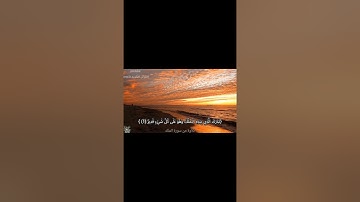 ارح سمعك...تلاوه هادئه تريح العقل والقلب 💚🎧 | حالات واتساب قصيره دينية