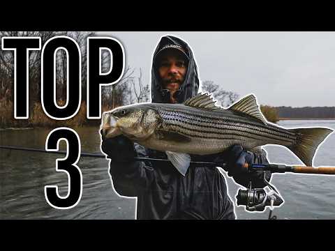 TOP 3 Winter Striped Bass Baits for Back Water Fishing