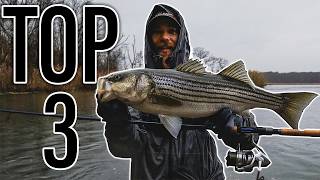 TOP 3 Winter Striped Bass Baits for Back Water Fishing