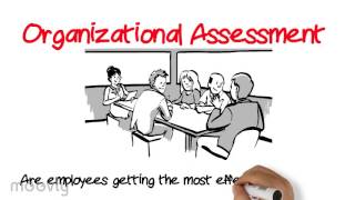 Organizational Assessment