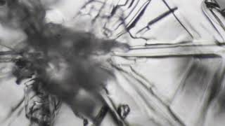 Fine Snow Flakes Under Microscope by The Boring Voice 1,198 views 3 years ago 2 minutes, 16 seconds