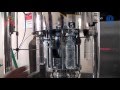 Sodasoft drink pet bottle rotary machine            