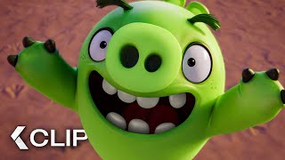 The Piggies Are Here! Scene  The Angry Birds Movie (2016)