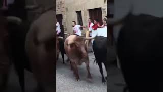 Encierro Viana(Navarra)