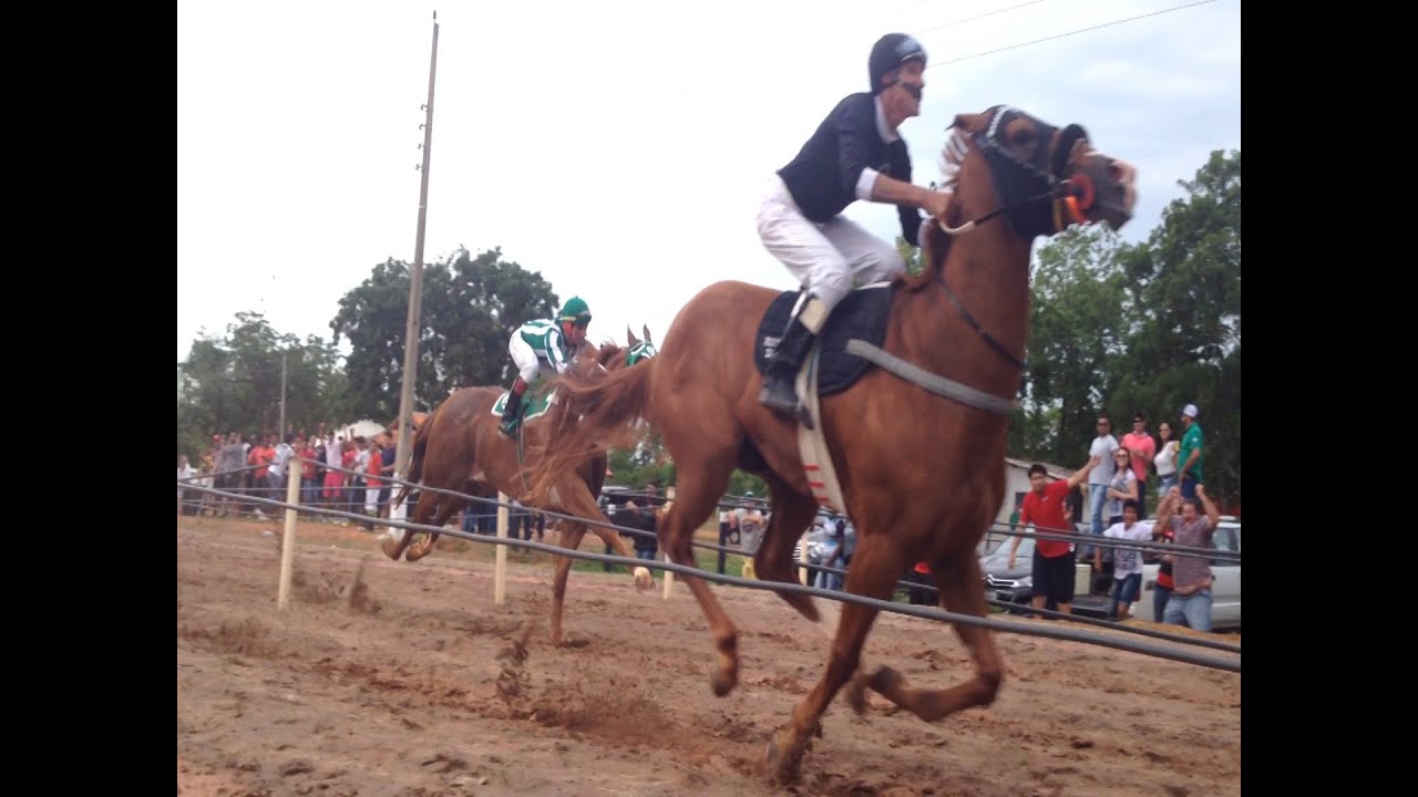 cavalo pulando para símbolo de esporte de corrida de cavalos