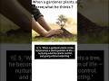 "The Message Hidden in the Soil – A Gardener Must Know"/ home gardening/ shorts