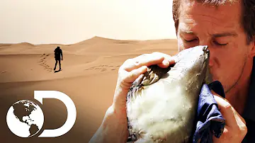 É possível sobreviver no deserto?