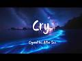 Cigarettes After Sex - Cry (Lyrics) | (Loop video)