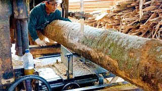 Huge Logs, Huge Machines: Inside the Largest Sawmill