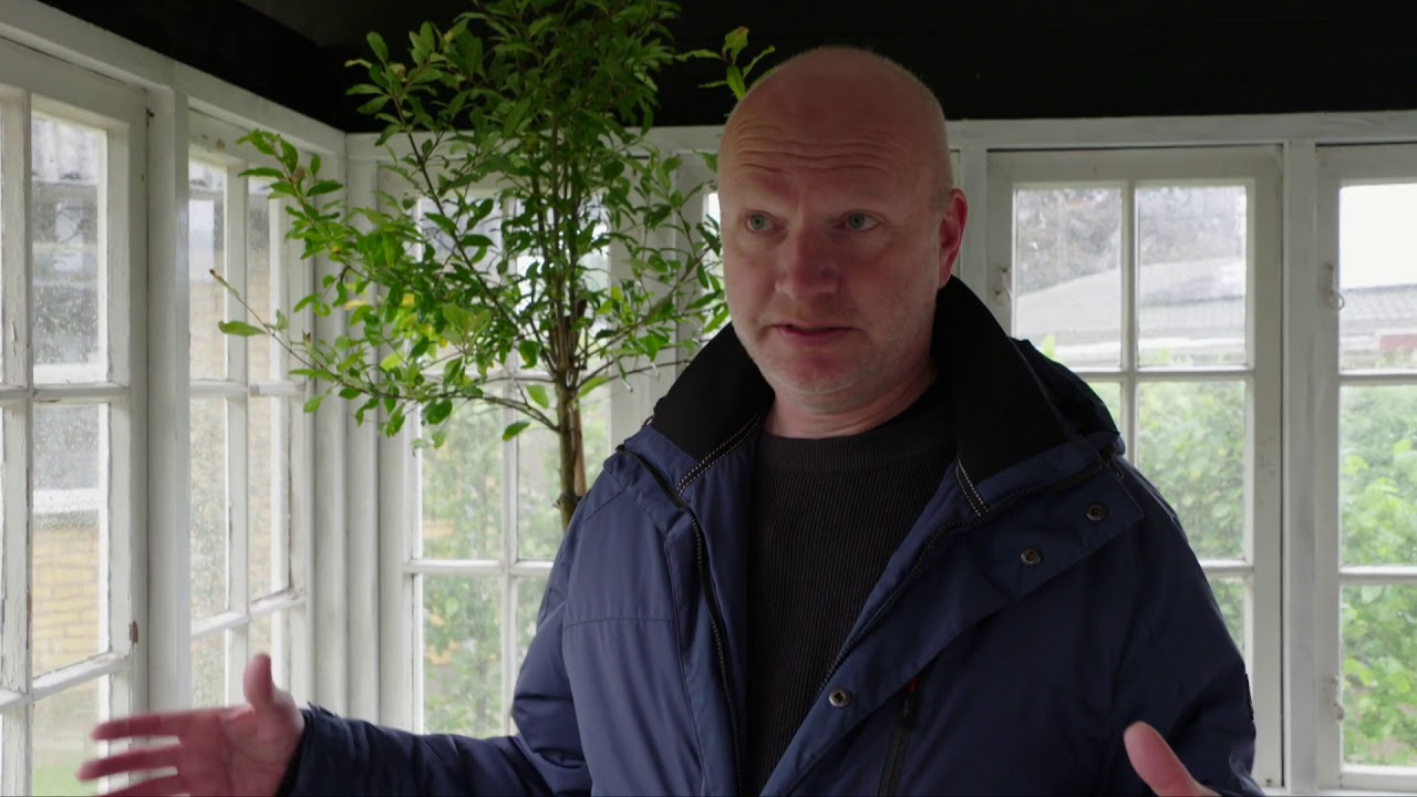 Unikahaver Inde og ude i havens rum