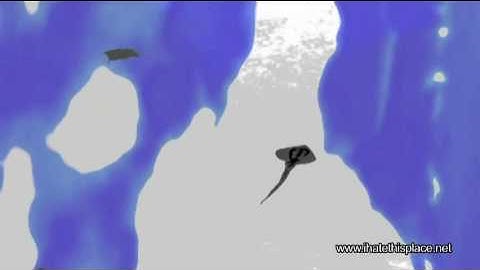 I Hate This Place - Push Pull Official Music Video