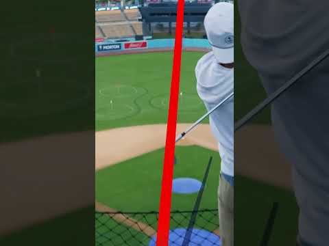 Dodger stadium golf!
