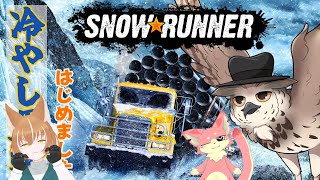 【雪道暴走？】沼ったときどうしてそうなったかで人がわかる…かもしれない？【Snow Runner】