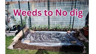 Turning weeds to a No Dig garden bed for beginners #nodig