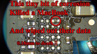 Dust in this MacBook killed the logic board and took the data with it. A2141 16