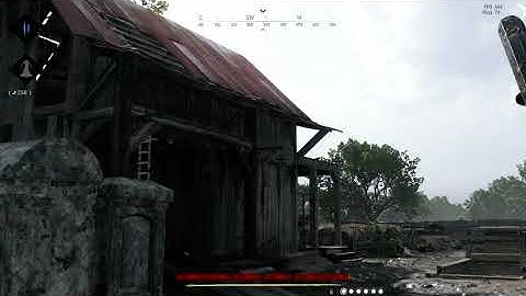 Hunt : Showdown  - strange weapon holding/ADS bug