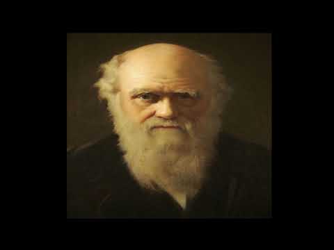 დარვინის თეორიები