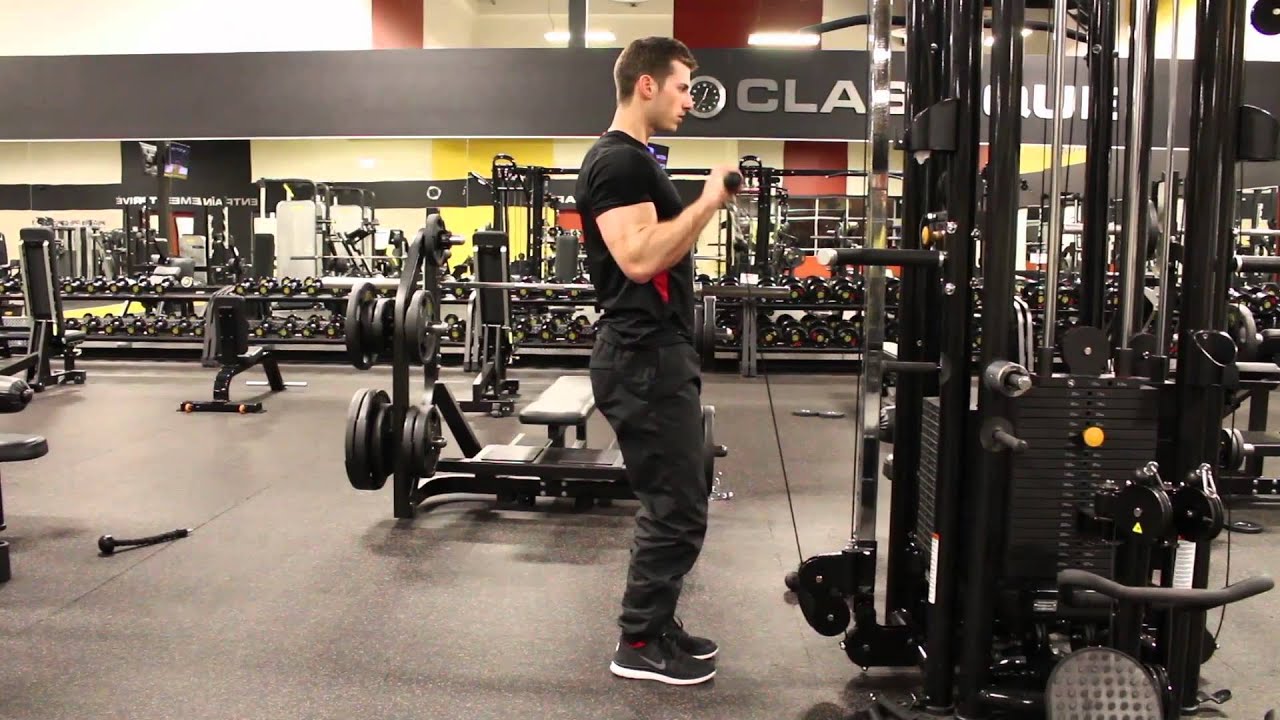 Reverse grip cable curl - YouTube