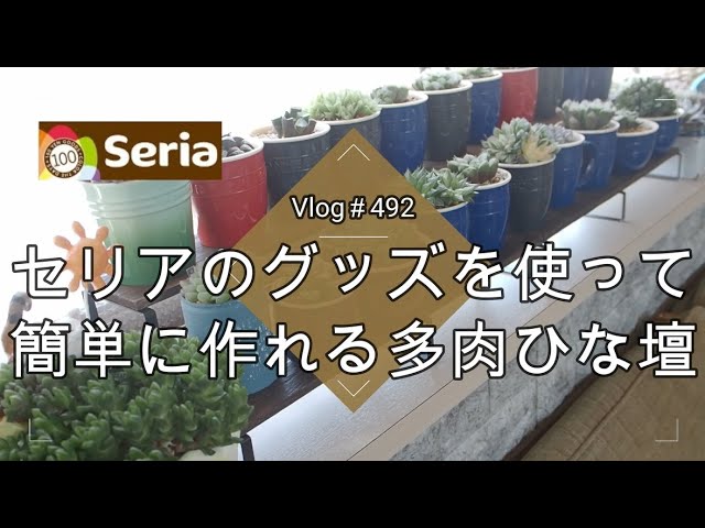 Vlog 492] [Succulents] A succulent tiered stand that can be easily