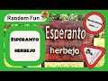 🔴 Esperanto herbejo ... • Pokéstop richtig einreichen • Pokémon Go • Ingress • Wizards Unite ... 🙂🌍🙂