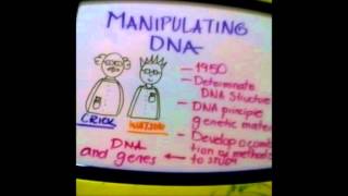 MANIPULATING DNA SARAH Y ANDREA 9A