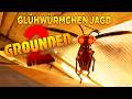 Glühwürmchen Jagd im Grounded 2 Update