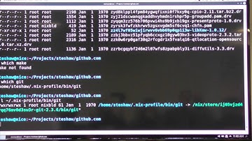 Escaping Cabal Hell with Nix - Steven Shaw - BFPG 2015-06